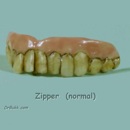 Zipper Teeth